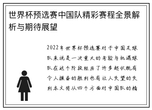 世界杯预选赛中国队精彩赛程全景解析与期待展望