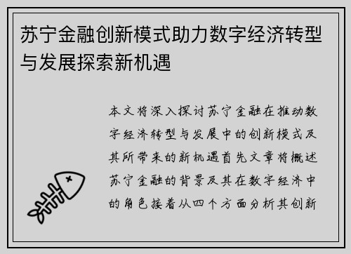 苏宁金融创新模式助力数字经济转型与发展探索新机遇